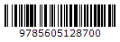 9785605128700